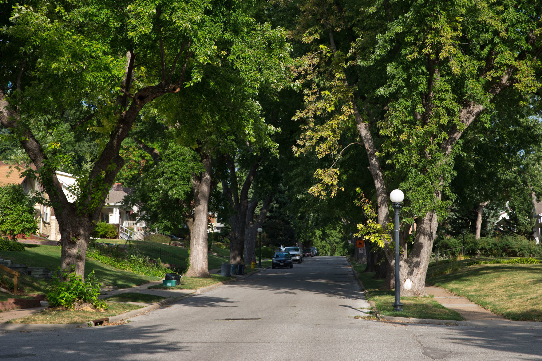Poppleton Avenue